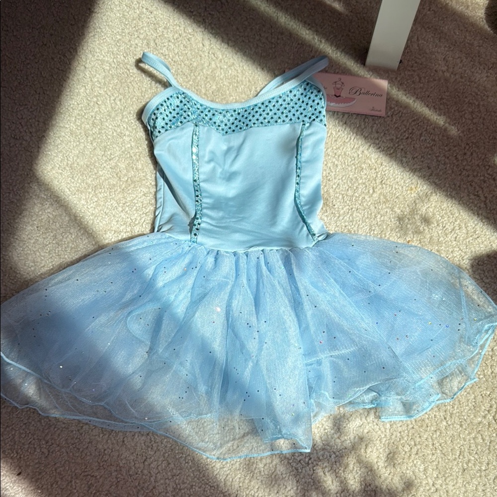 Blue Kids Ballet Costume